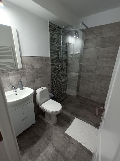 Old Town Studio 1 Apartment Nr 1 Baia Mare Ngoại thất bức ảnh