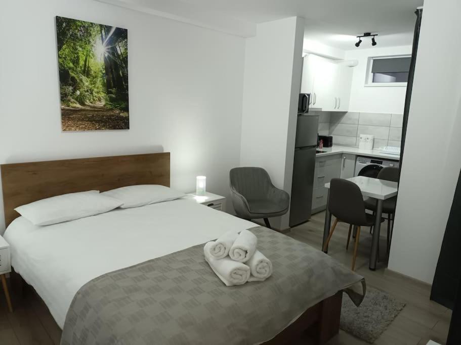 Old Town Studio 1 Apartment Nr 1 Baia Mare Ngoại thất bức ảnh