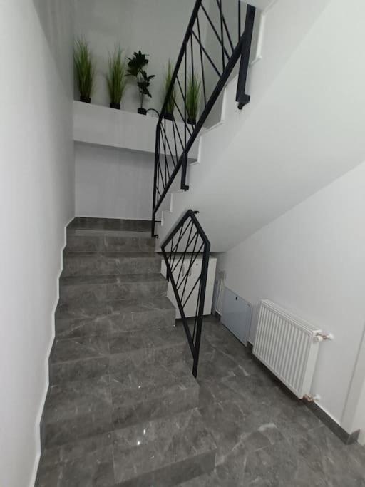 Old Town Studio 1 Apartment Nr 1 Baia Mare Ngoại thất bức ảnh
