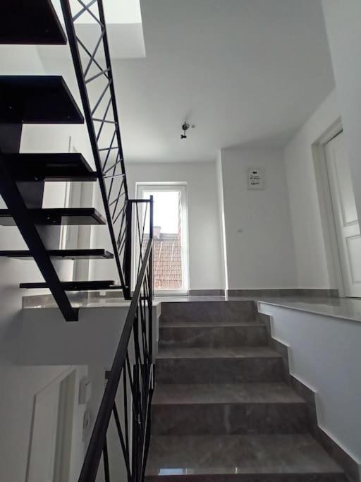 Old Town Studio 1 Apartment Nr 1 Baia Mare Ngoại thất bức ảnh
