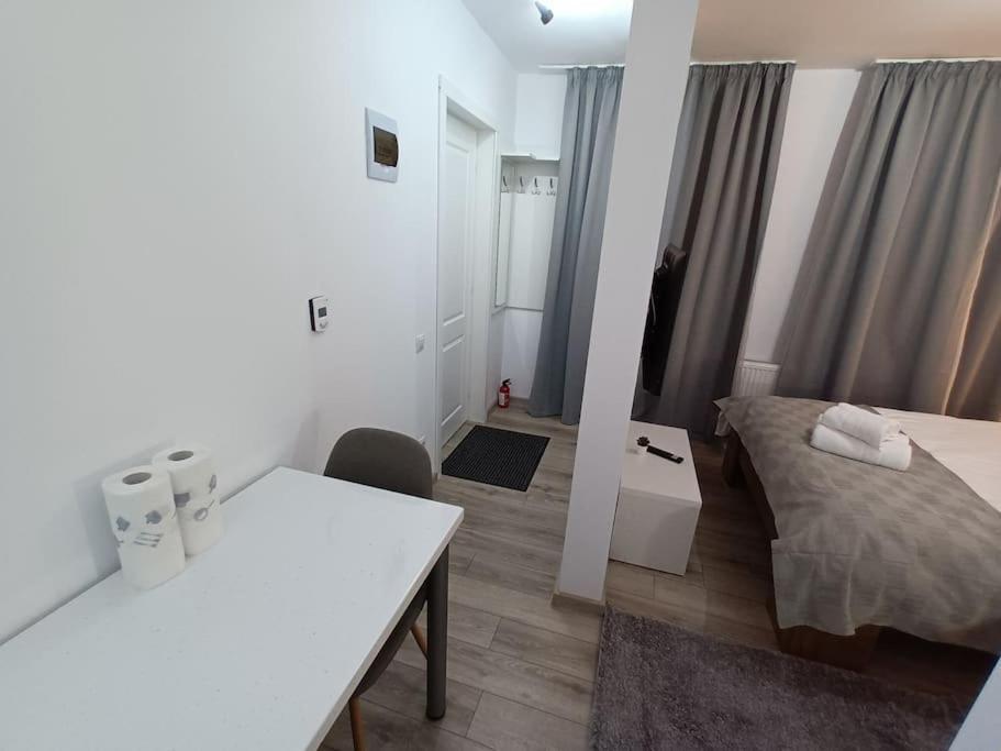 Old Town Studio 1 Apartment Nr 1 Baia Mare Ngoại thất bức ảnh