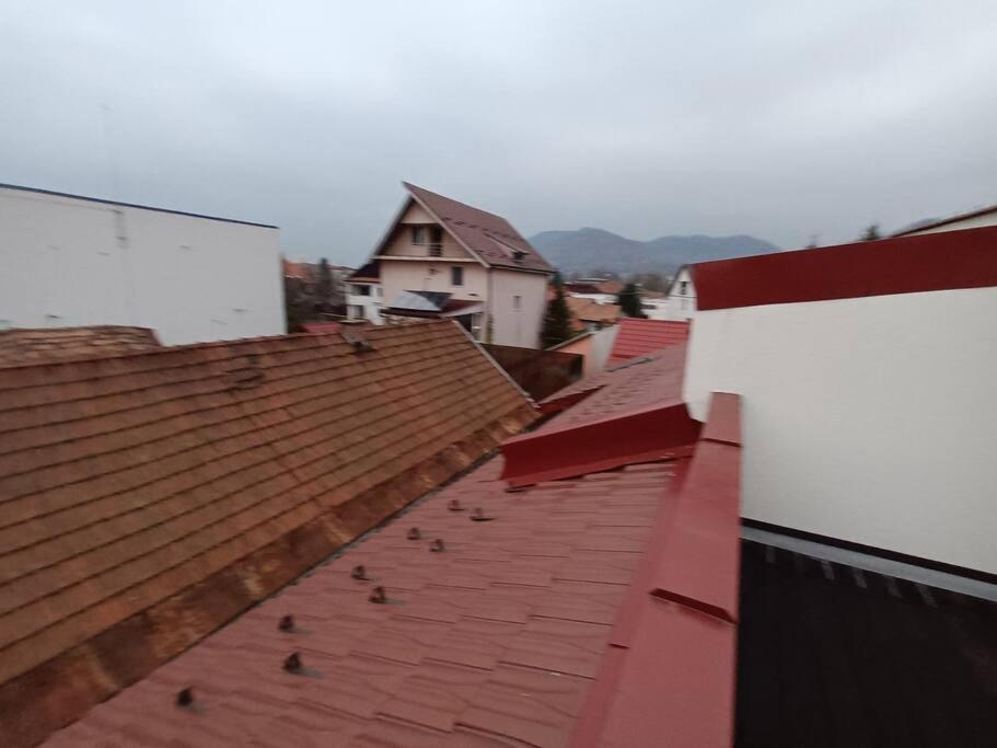 Old Town Studio 1 Apartment Nr 1 Baia Mare Ngoại thất bức ảnh