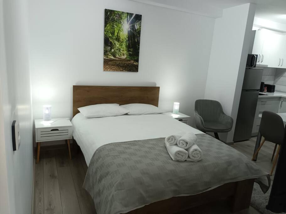 Old Town Studio 1 Apartment Nr 1 Baia Mare Ngoại thất bức ảnh
