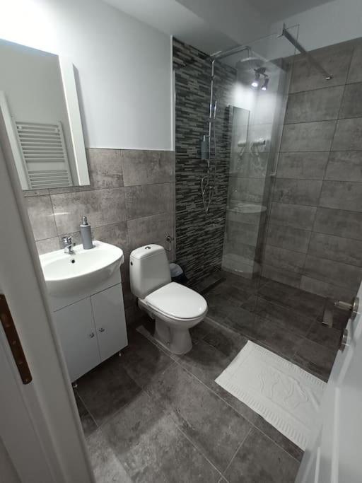 Old Town Studio 1 Apartment Nr 1 Baia Mare Ngoại thất bức ảnh