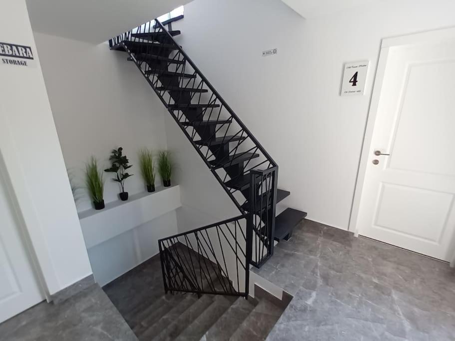 Old Town Studio 1 Apartment Nr 1 Baia Mare Ngoại thất bức ảnh